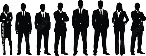 Business professionals silhouette, formal attire, corporate team, workplace diversity, leadership concept, office staff, standing pose, vector illustration, business people
