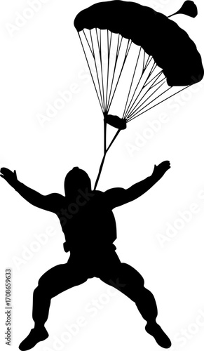 Skydiving silhouettes