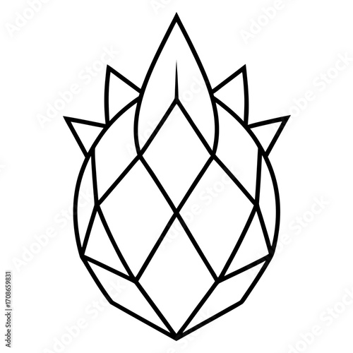 Vector dragon fruit with geometric style