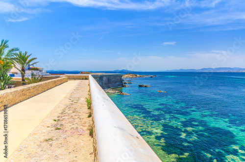 Wallpaper Mural Defense town walls of Tabarca Island Nueva Tabarca Isla Plana village town and azure water of Mediterranean Sea Alicante bay in sunny summer day, Alicante province, Valencian Community, Spain Torontodigital.ca
