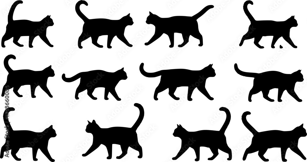 Fototapeta premium Siamese cat svg, Siamese cat silhouette