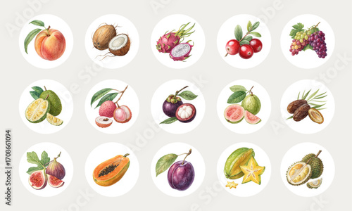 Watercolor Fresh Exotic and Common Fruit Icons