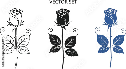 Elegant rose illustrations in outline, silhouette, and blue.