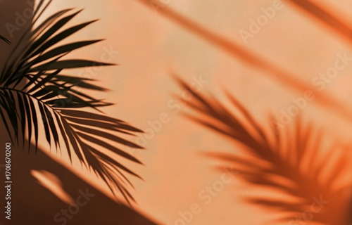 Shadows of Palm Leaves Create a Serene Atmosphere on a Warm Orange Wall at Mi...