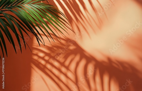 Shadows of Palm Leaves Creating Patterns on a Warm Textured Wall.