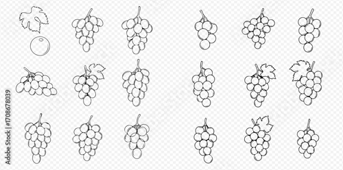 A collection of hand-drawn grape bunches, a single berry, and a leaf in a black outline sketch style on a transparent background.