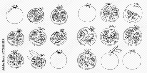 A set of hand-drawn pomegranate illustrations showing whole fruits, halves, and cross-sections with seeds.
