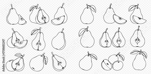 A collection of hand-drawn pear fruit illustrations, featuring whole, sliced, and halved pears in a simple black and white line art style.