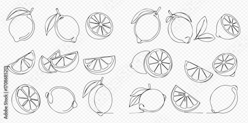 A collection of lemon fruits and slices drawn in a continuous single line art style on a transparent background.