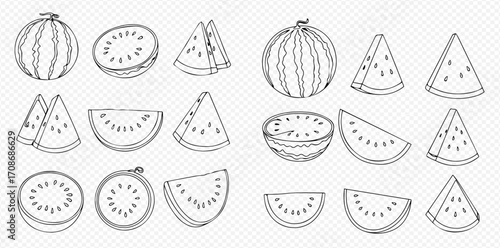 A set of hand-drawn watermelon illustrations, showing whole fruit, halves, wedges, and slices in a line art style.