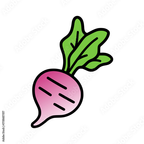 vector illustration of a radish with green leaves
