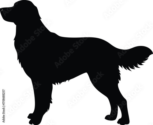 Golden Retriever Dog Silhouette Vector Illustration of Popular Breed for Pet and Animal Icon Design