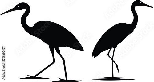 Heron Silhouette Vector Illustration of Native Wading Bird Icon for Nature and Wildlife Design