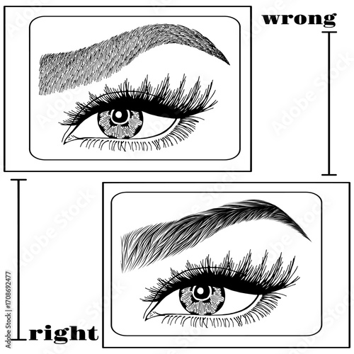 Illustration with woman's eyes, eyelashes and eyebrows. Makeup Look. Tattoo design. Logo for brow bar or lash salon. Wrong and right coloring care. Set of well-groomed and shaggy eyebrows.
