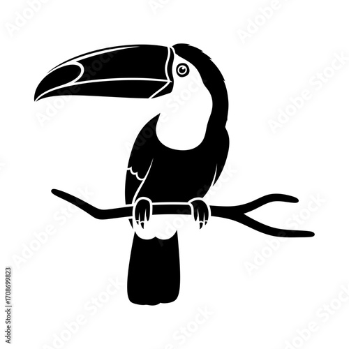 toucan on a branch