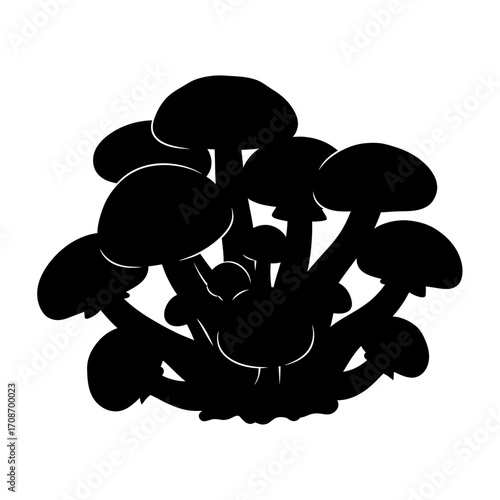 black and white abstract flower