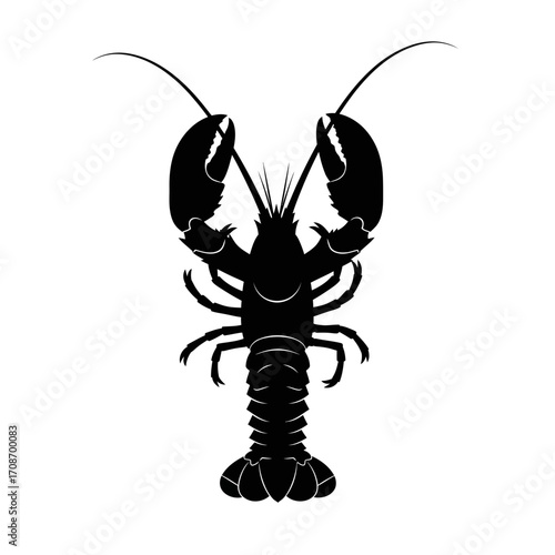 crayfish vector illustration