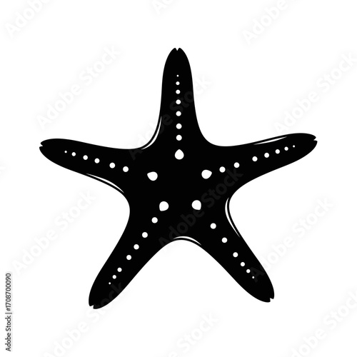 starfish on white background