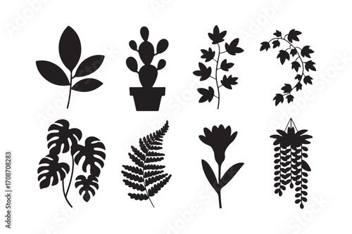 Silhouettes of various houseplants and flowers on a white background
