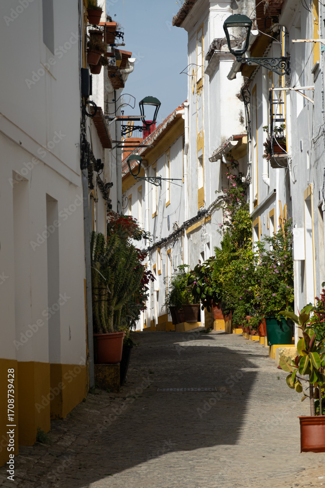 Fototapeta premium Traditional cobbled neighbourhood alley street in Elvas in Portugal