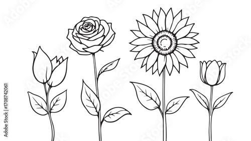 Coloring page with rose sunflower and tulips outline illustration for kids and adults art therapy