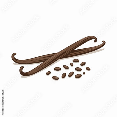 Cardamom Pod with Seeds Vector Illustration