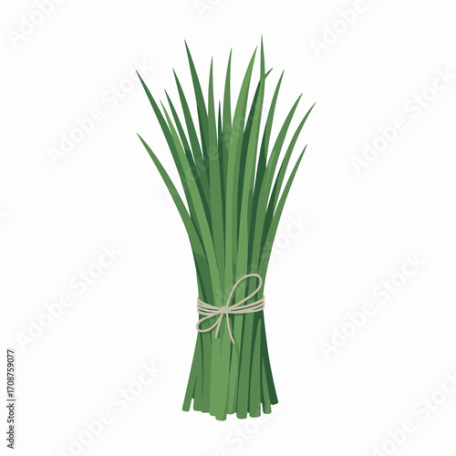 Fresh Chives Bundle Vector Illustration