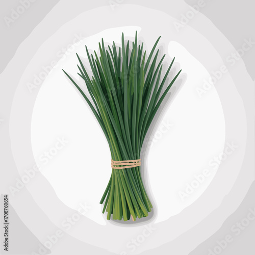 Fresh Chives Bundle Vector Illustration