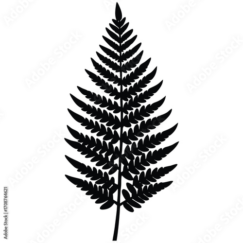 fern frond vector icon