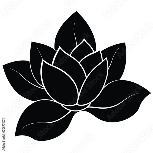 magnolia vector icon