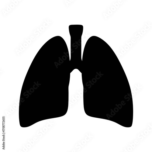 Human lungs anatomy respiratory system health medical diagram pulmonary organ silhouette illustration