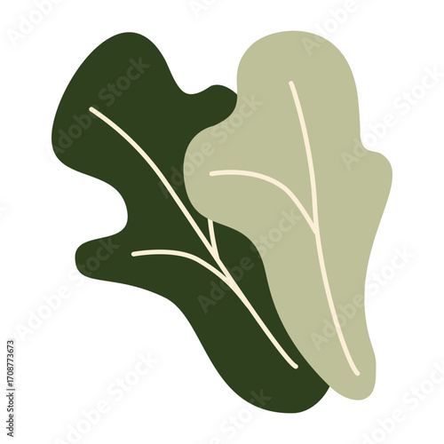 Fresh green arugula and lettuce leaves, organic salad ingredients, healthy vegetarian food, farm-grown leafy greens, nutritious diet, plant-based eating. Vector illustration in flat style.