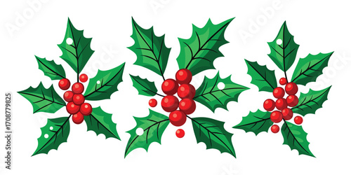 Three Clusters of Holly Leaves with Red Berries on White Background christmas, decoration, festive, holiday, winter, plant, nature, seasonal, design, element, greeting, card, celebration, new year art