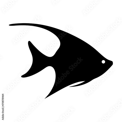 Black and white silhouette of a freshwater angelfish swimming gracefully underwater