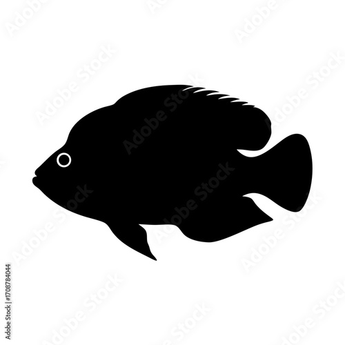 Silhouette of a freshwater fish with prominent dorsal fin and rounded features