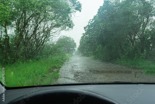 View through a car windshield with raindrops, showing a wet rural road surrounded by green trees and grass on a rainy day.