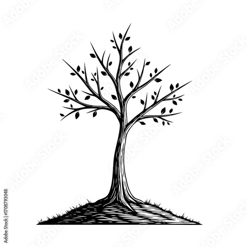 A bare tree a few leaves stands alone, , its branches reaching towards the sky in a simple illustration