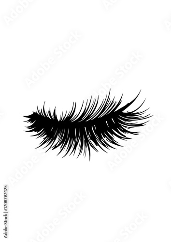 Eyelash Silhouette Illustration