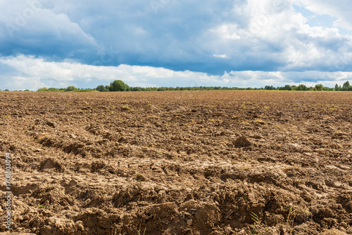 Plowed farmland under a cloudy sky with distant trees on the horizon, ready for planting crops in a rural landscape.