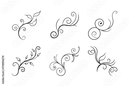 set of ornamental vine swirl vector illustration