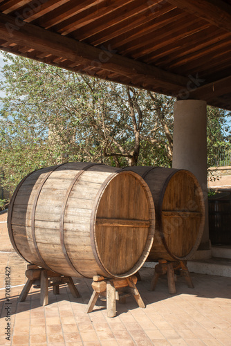 Botte in legno per il vino