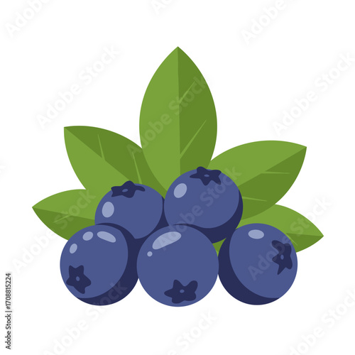 Fresh ripe blueberries with green leaves isolated on white background healthy food illustration