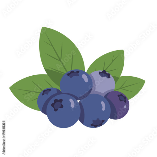 Fresh ripe blueberries with green leaves isolated on white background healthy food illustration