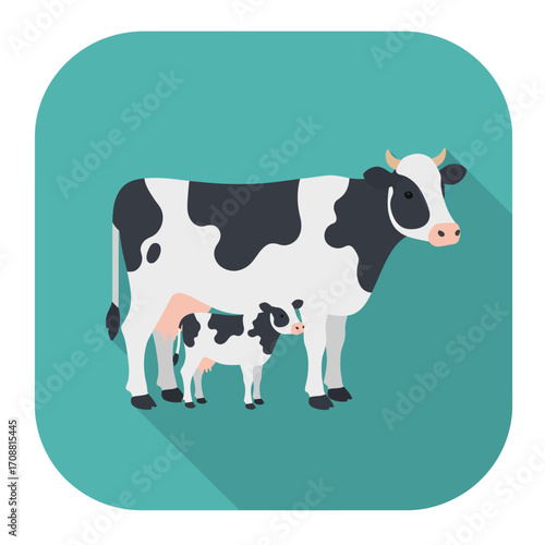 Flat design illustration of a black and white cow with a calf on a teal background with long shadow