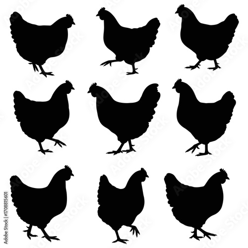 Collection of nine distinct black chicken silhouettes in various poses against a clean white background
