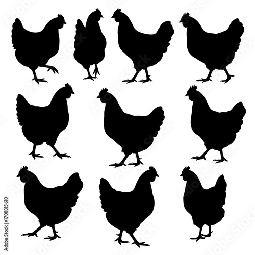 Collection of nine black chicken silhouettes in various natural poses on a white background