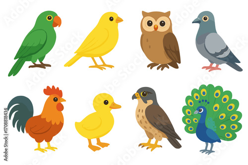 Birds flat icon set. featuring parrot, canary, owl, pigeon, rooster, duckling, falcon, peacock symbols