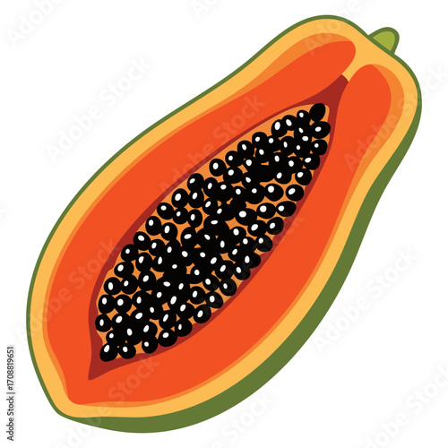 Carica papaya papaw fruit vector art illustration ideal for tropical themes healthy eating visuals exotic packaging designs and botanical food artwork