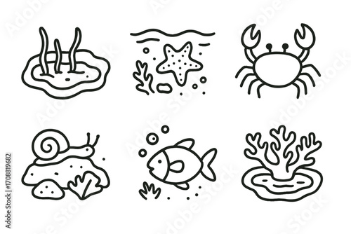 Marine life linear icon set. featuring starfish, crab, seaweed, snail, fish, and coral symbols