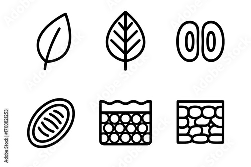 Biology silhouette icon set. featuring leaf, chloroplast, cell wall, mitochondrion, cell membrane, and nucleus symbols